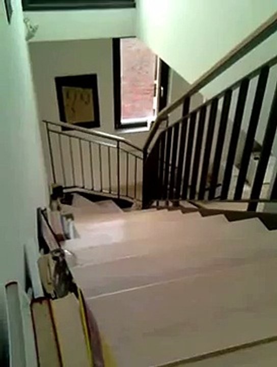 Kenji the ninja cat sneaky sneaky