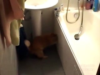 leave the door open!!! Оставьте дверцу открытой!!!