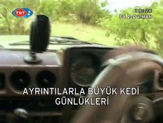 Büyük Kedilerin Günlüğü: 15. Bölüm