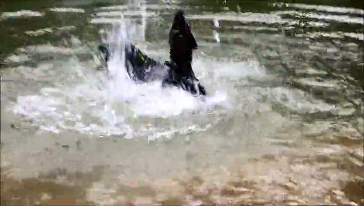 Priska nage... ou essaie de nager 31/08/15