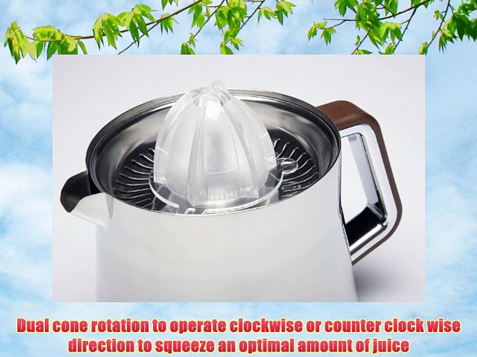 KRUPS ZX800 Silver Art Collection Citrus Press with Dual Cone Rotation and Stainless Steel