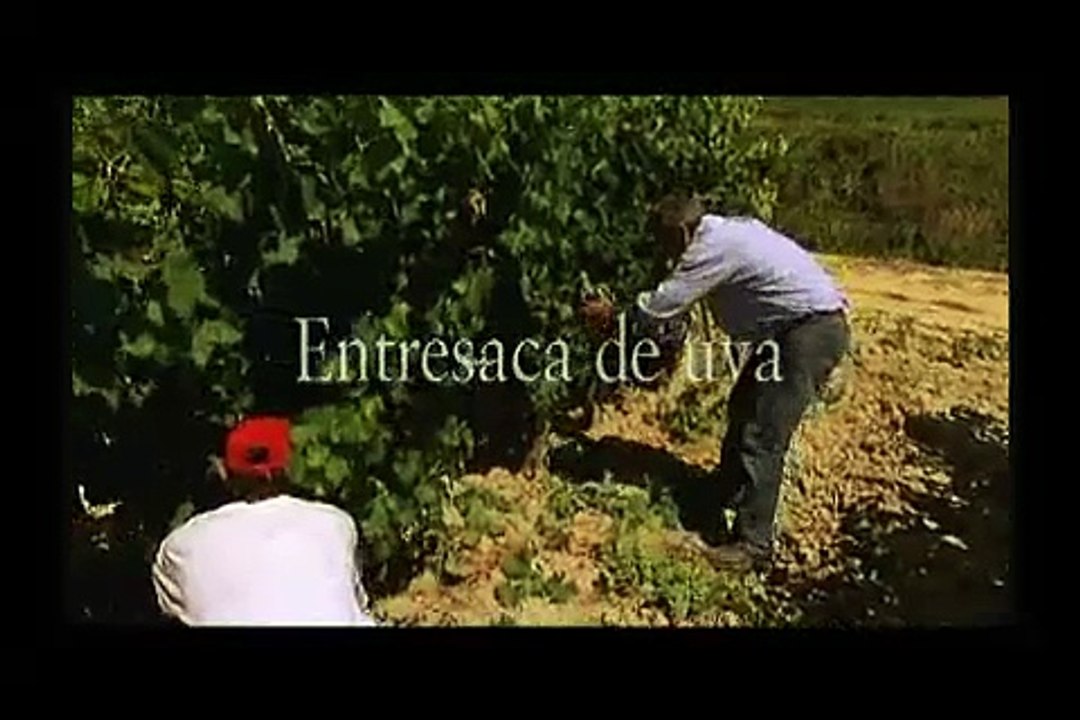 Fernando Remirez de Ganuza - La Entresaca