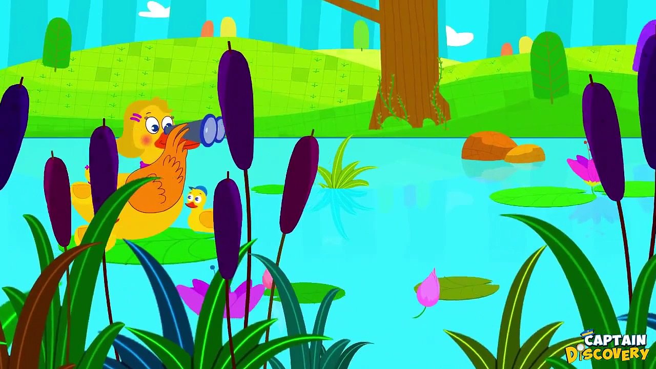 Copy of Five Little Ducks | Nursery Rhyme Song With Lyrics For Children By Captain Discovery