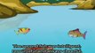Panchatantra Tales - The Three Fishes - Short Stories for Children - Animated / Cartoon Stories