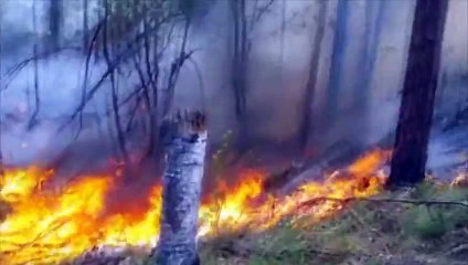 Des feux de forêts continuent de ravager les pourtours du lac Baïkal