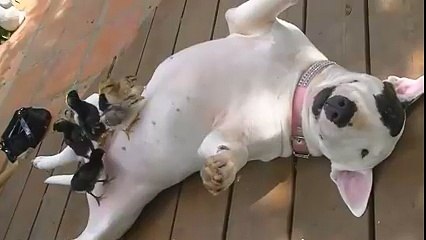 واہ جی بڑا خیال رکھ رہا ہے