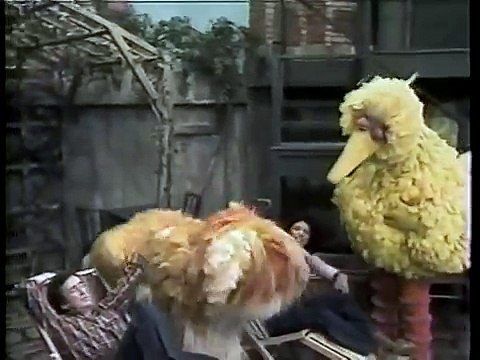 Sesame Street 1781 Street Segment 2