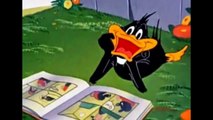 7 Daffy Duck Ducky Funny Photos Toon Cartoon Images