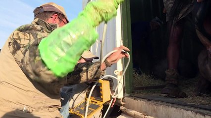 Black breeders lead transformation of S.Africa's game industry