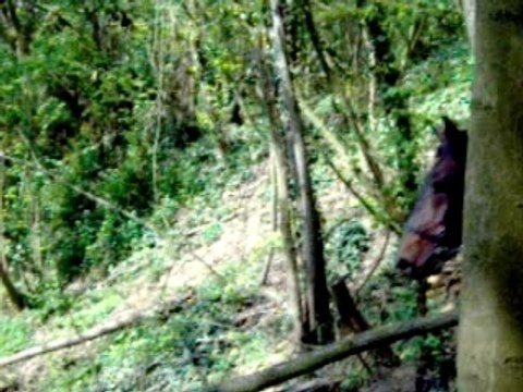 quartum dans le cross au gué