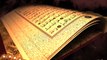Recite Of The Holy Quraan - Talawat e Quraan e Paak - Hafiz Mohammad Arshad - Youm E Shadat Hazrat Ali (A.S) - Markaz Faizan e Chisht Sangla Hill - Asad Ali Chishti