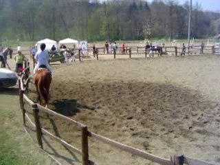 Suite Dressage Villeneuve