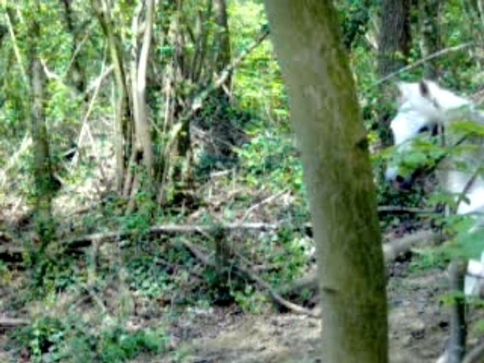 tais et tango dans le gué