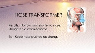 Face Exercise: Nose Transformer