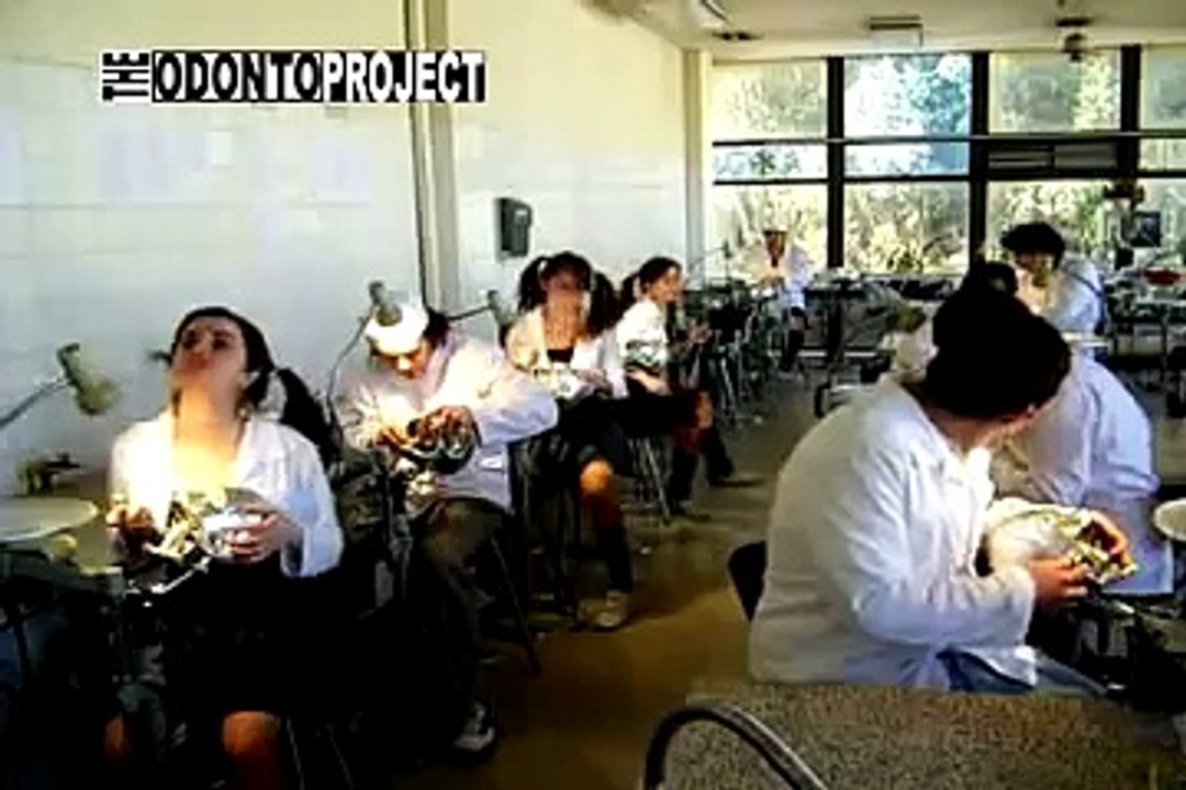 THE CLASSIC PROJECT