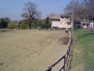 Dressage CCE Villeneuve 2