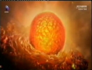 ADN: El nucleo celular