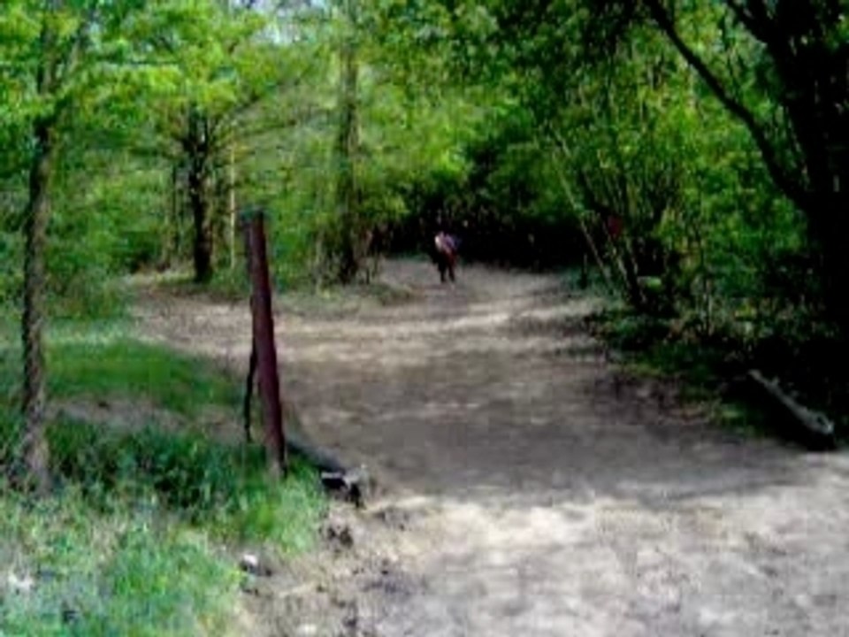 idem et marion qui reviennet du cross