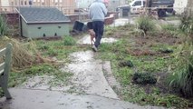 The Animal Rescue Site: Helping Flooded Shelters After Sandy