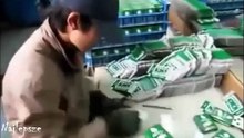 The World's Fastest Workers