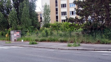 gien , la trop belle endormie