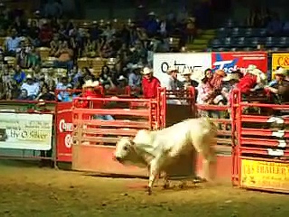 bullfighter gets tossed out!