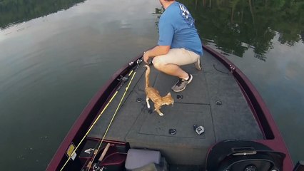 Quand 2 Pêcheurs Sauvent 2 Chatons dans un Lac