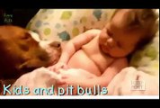 Meets Dogs for First Time - Dogs and Babies, Cats are best friends