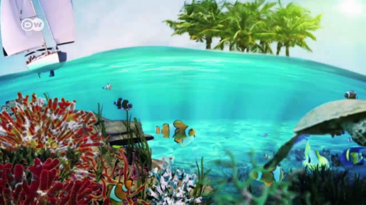 Zanzíbar: protegiendo la biodiversidad | Global 3000