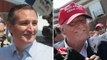 Donald Trump and Ted Cruz: A political bromance