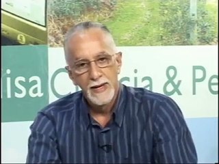 O chá Ayahuasca e seus efeitos - Bloco 01