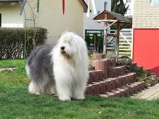 ....ich hab die Haare schön...ich hab die Haare....