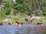 AMAZONCHUCKS/ PT#2/ 23 DAYS AMAZON TRIP IQUITOS TO MANAUS/THE LAKE AREA OUTSIDE IQUITOS