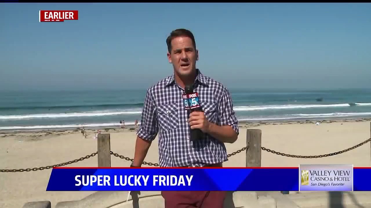 Reporter Crumble Under Bug Attack