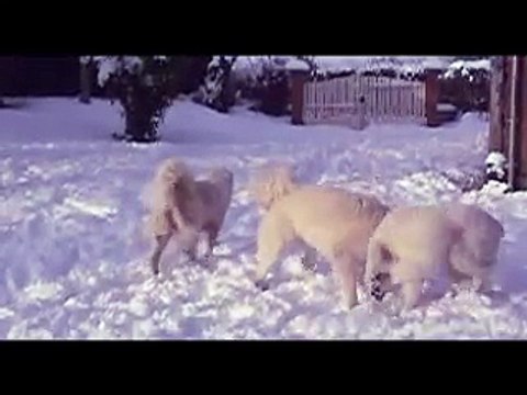 Montagnes des Pyrénées dans la neige