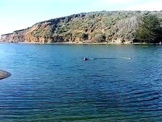 loch ness monster