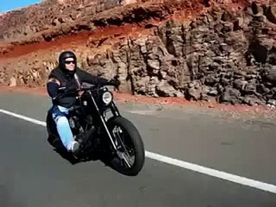 Harley Street Bob custom