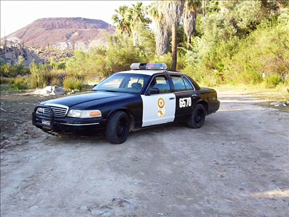 POLICIA FEDERAL DE CAMINOS