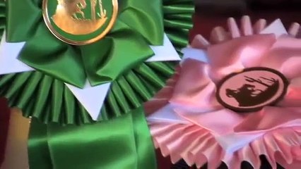 The Mane Event - Episode 1: Part 1