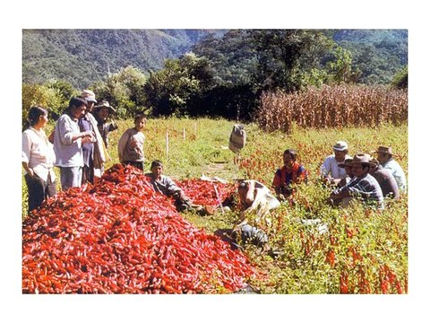 MISSIONARIA DEUSEDIR NA BOLIVIA 2007 1 ª VIAGEM MISSIONÁRIA
