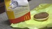 McDonalds vs Burger King , Dog Picks Best Burger Video, by Funny Coco Puff of JeepersMedia