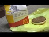 McDonalds vs Burger King , Dog Picks Best Burger Video, by Funny Coco Puff of JeepersMedia