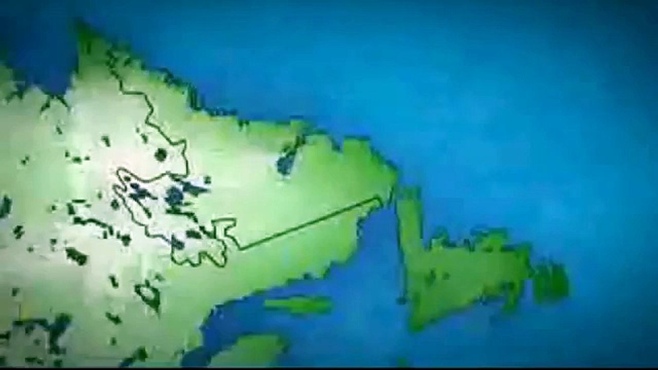 Dogs 101: Newfoundland