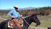 Pat Parelli Horse Training Q&A - Timing in Colt Starting