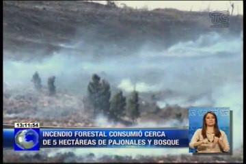 Download Video: Incendio forestal acabo con cinco hectáreas en Colta