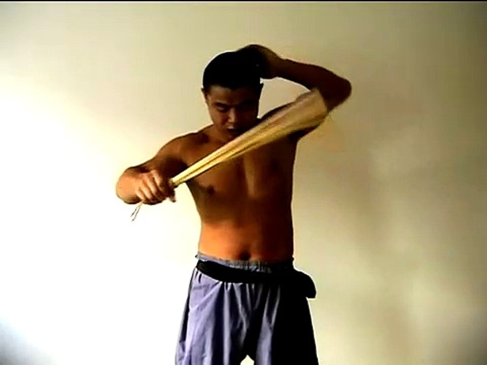 Shifu Yan Lei - Energy Brush