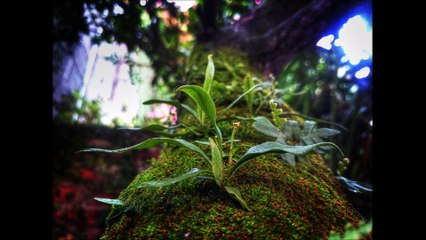 How much do Project Managers get Paid? Click to find out