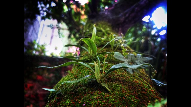 How much do Project Managers get Paid? Click to find out