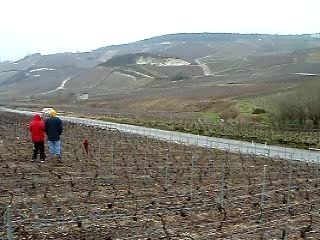 RALLYE DES VINS DE CHAMPAGNE 2007
