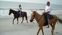 Horseback Riding  on the beach of Amelia Island with Deb